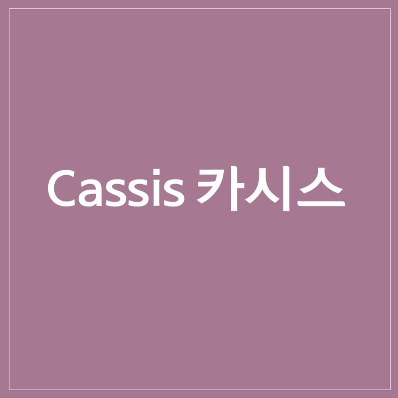 네일인사이드 이미지