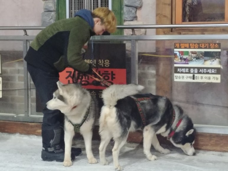 고양 원마운트 이미지