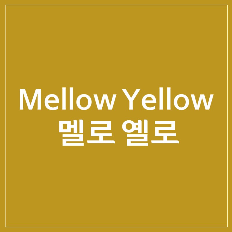 네일인사이드 이미지