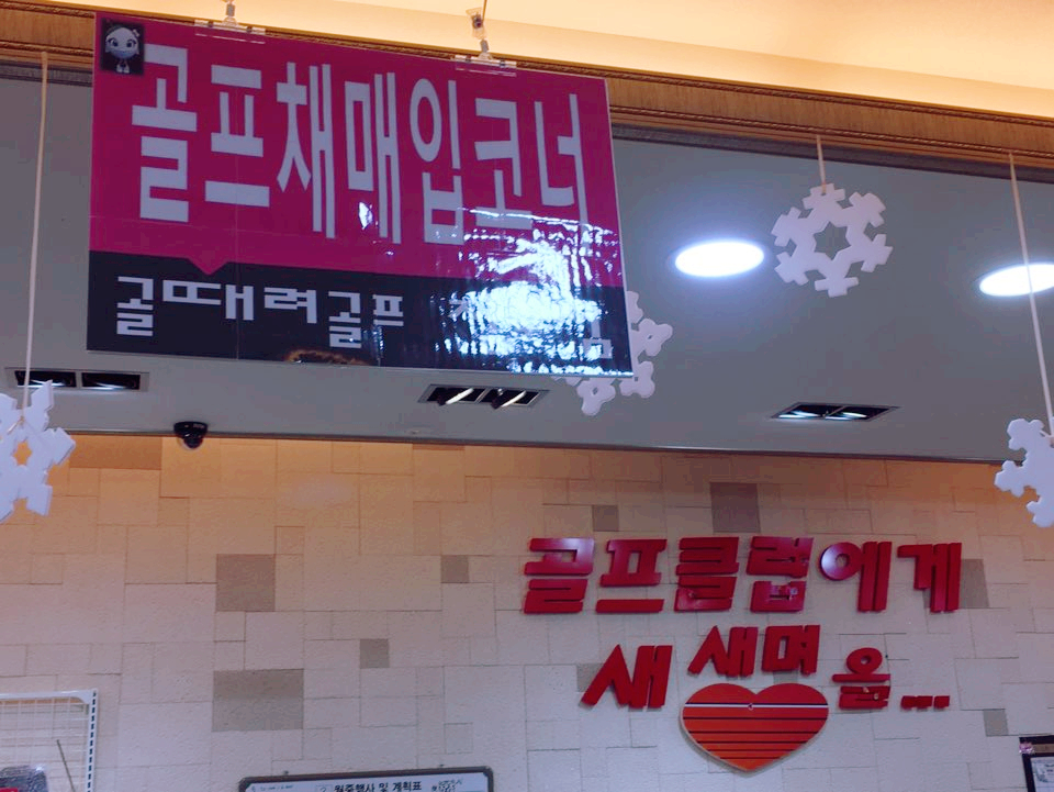 차이나게 판다 이미지