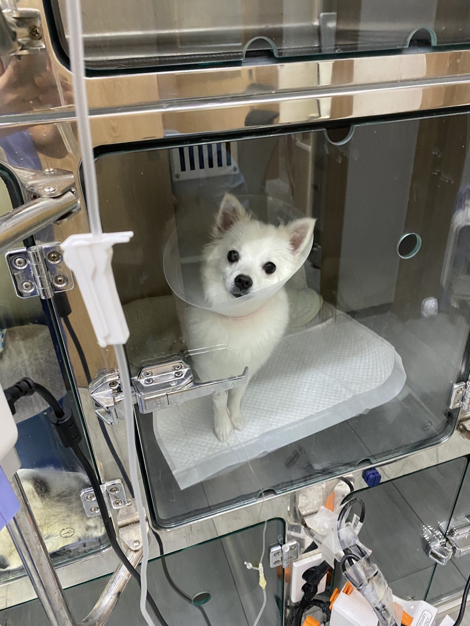 아리포차 이미지