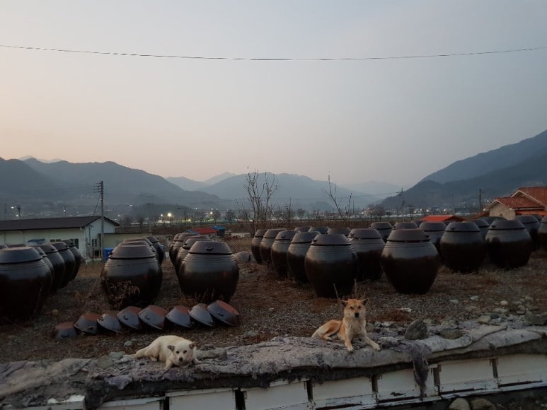 지리산청솔식품 이미지