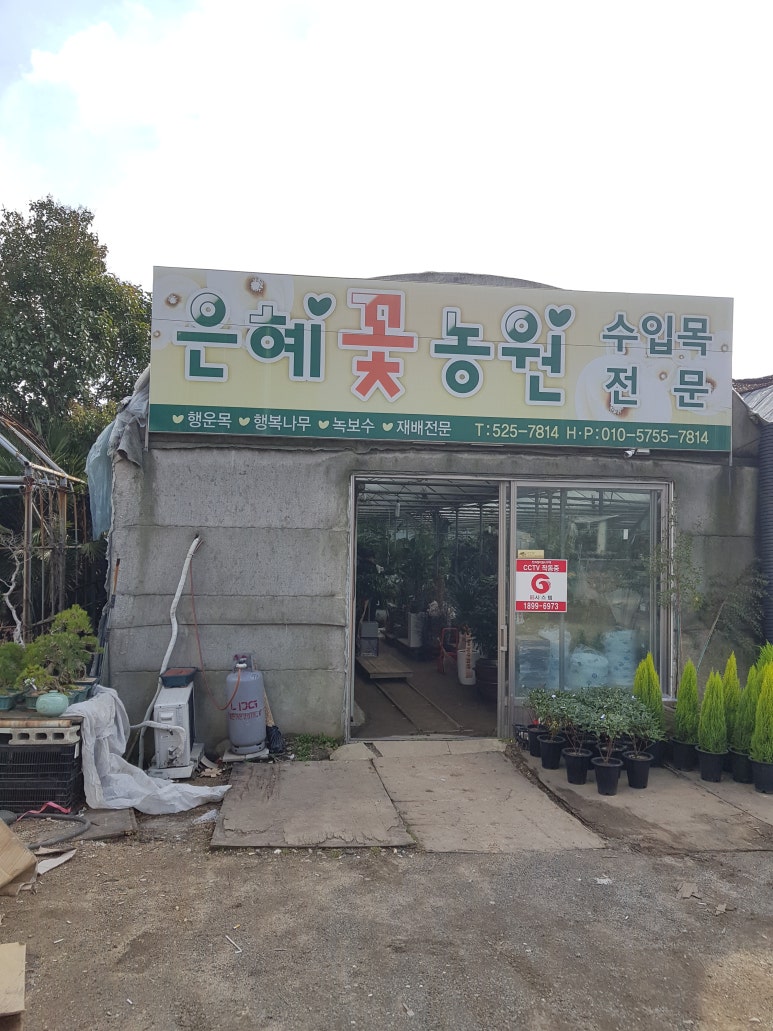 은혜꽃농원 이미지