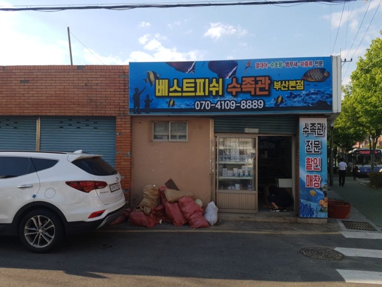 피쉬마트수족관 이미지