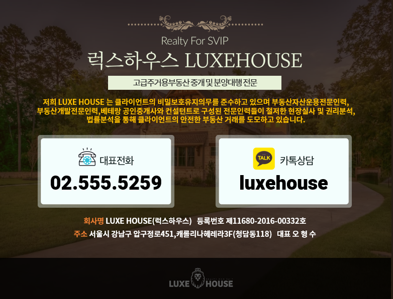 더메인 이미지