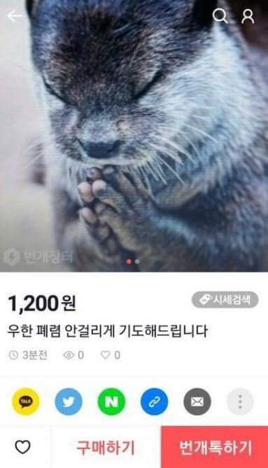 밀밭칼국수 이미지