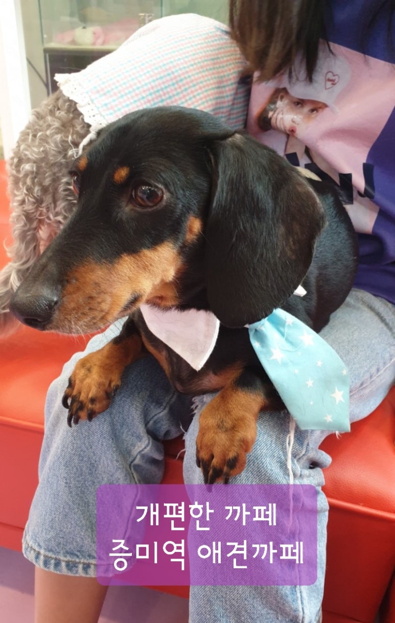 개편한까페 이미지