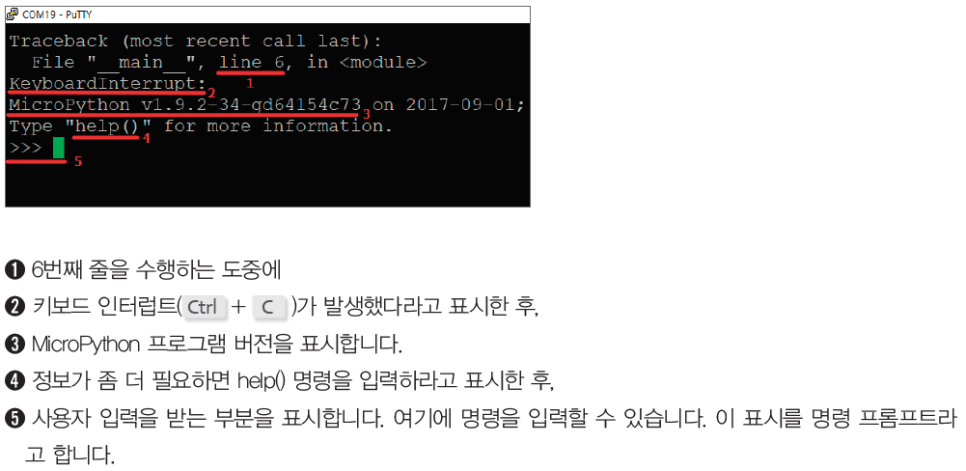 레플REPL 이미지