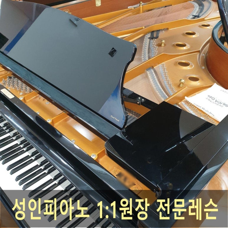 찬미피아노음악학원 이미지
