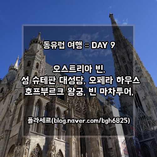 플라세르 투어 이미지