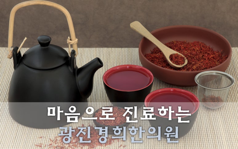 광진기전 이미지