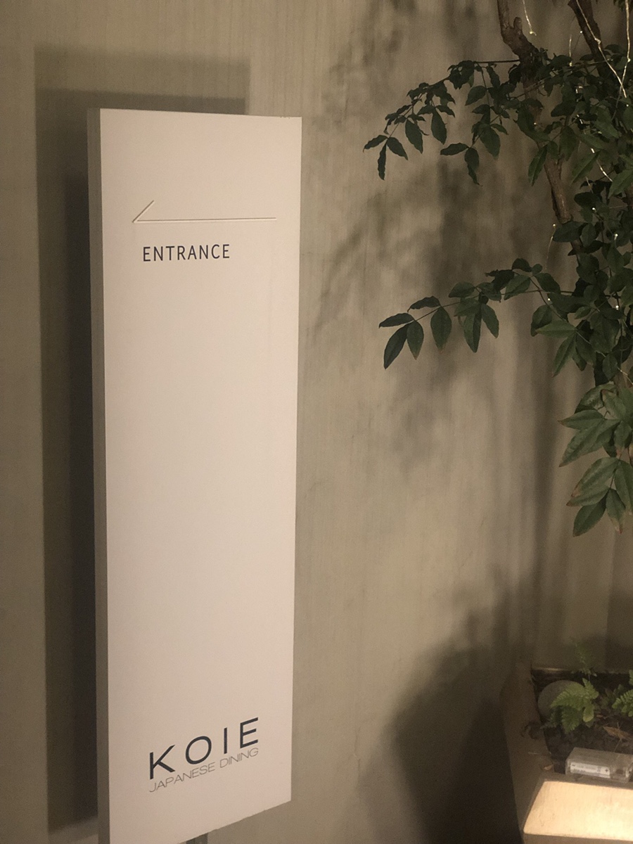 코이에(KOIE) 이미지