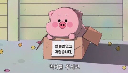 타르틴 이미지