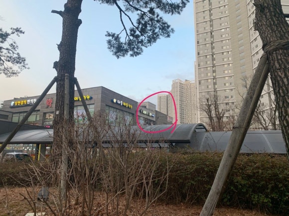 다솔미술학원 이미지