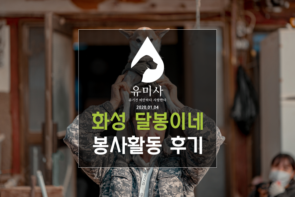 유미사 이미지