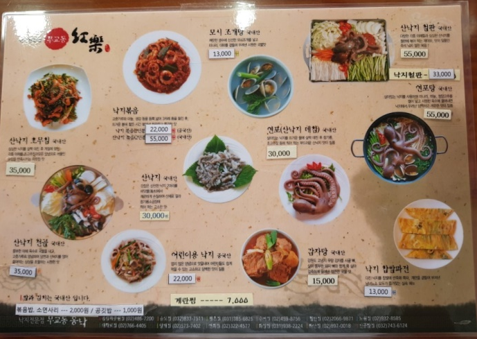 낙지무교동홍낙 이미지
