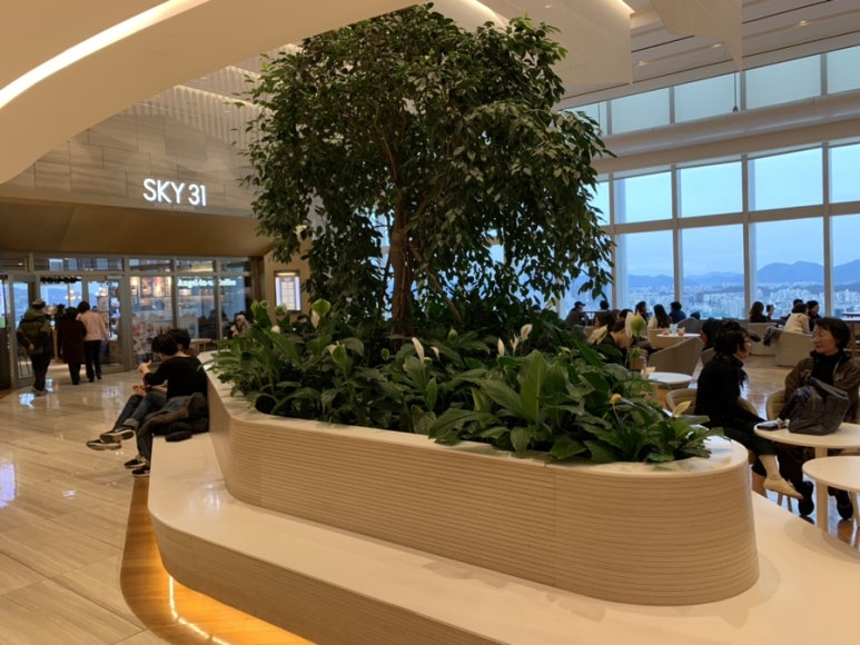 SKY FOOD 이미지