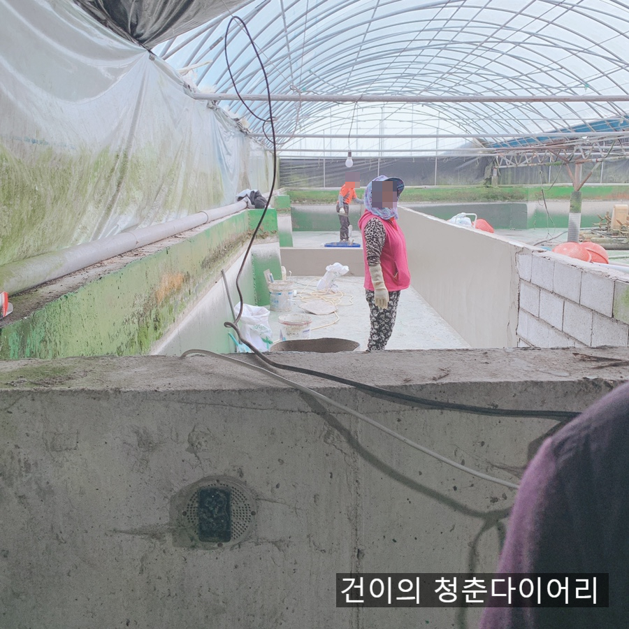봄.봄미장 이미지