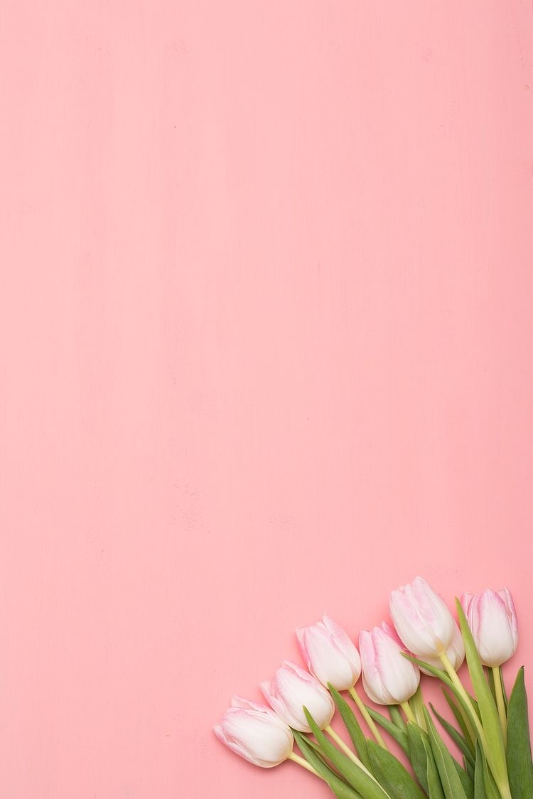 배경이플라워 이미지