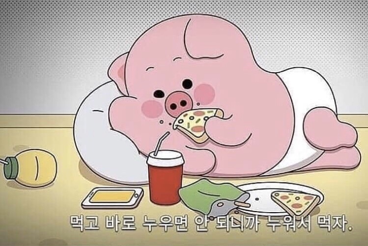 순미 이미지