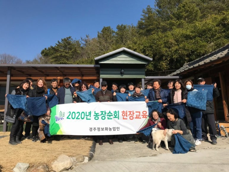 담녹 이미지