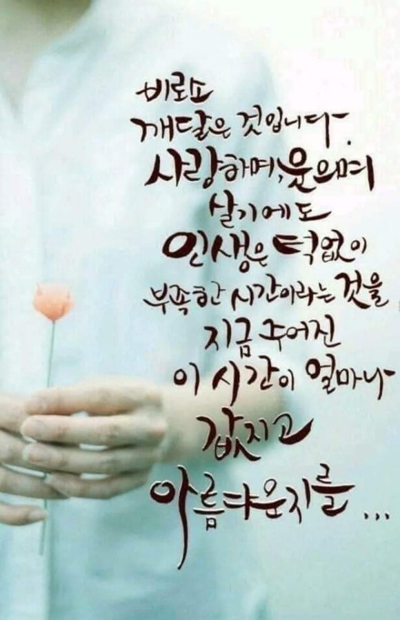 경성짬뽕 이미지