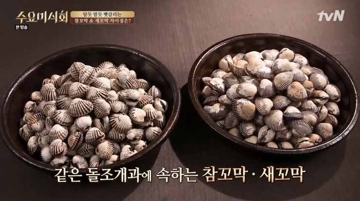 꼬막먹자 이미지