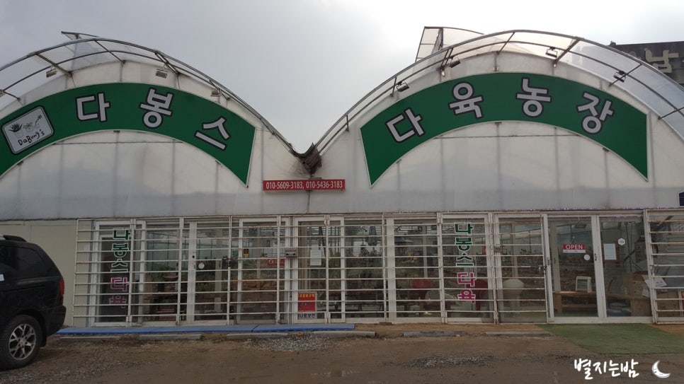 다봉스다육 이미지