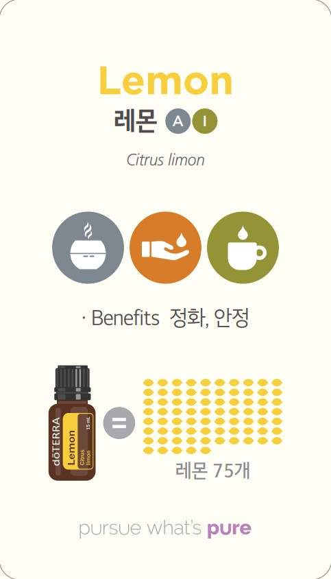 화이트펜슬스터디카페 이미지