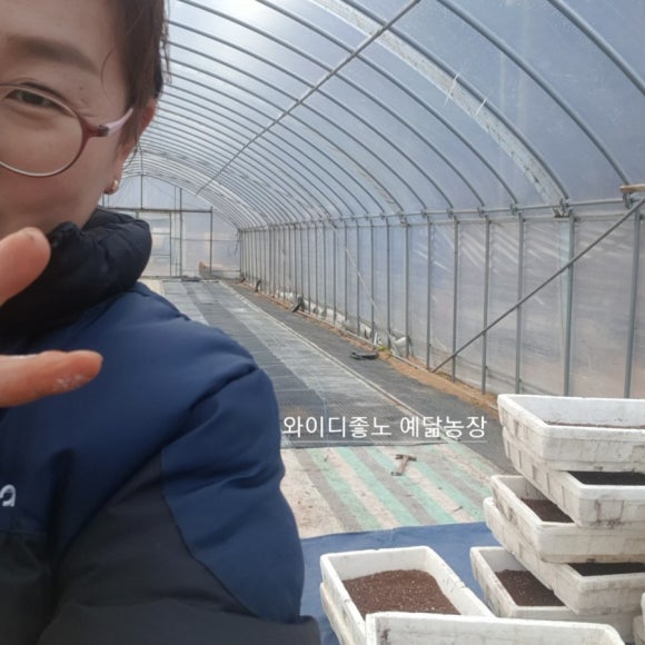 씨와이디 이미지