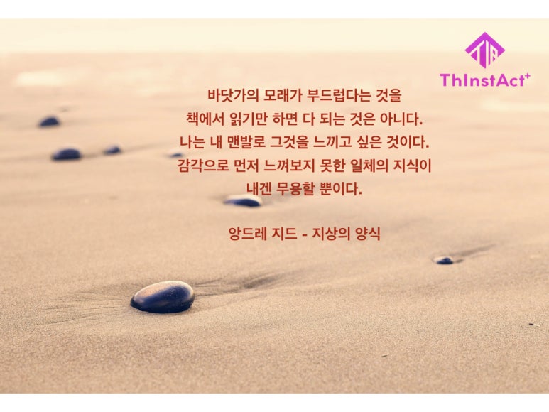 지상의양식 이미지