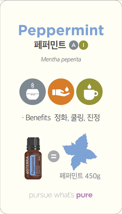 화이트펜슬스터디카페 이미지