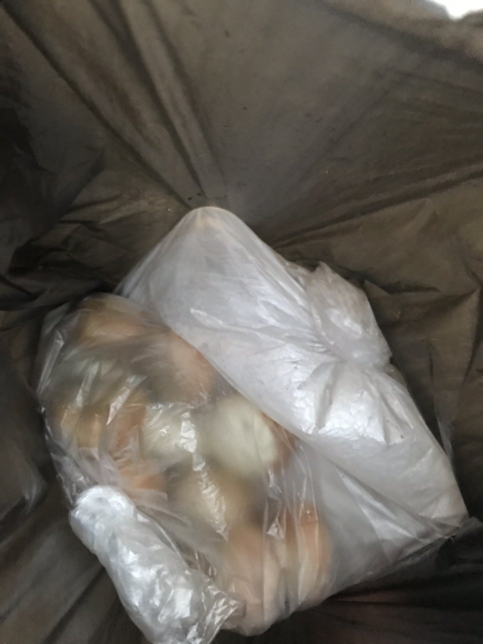 옥산해물칼국수 이미지