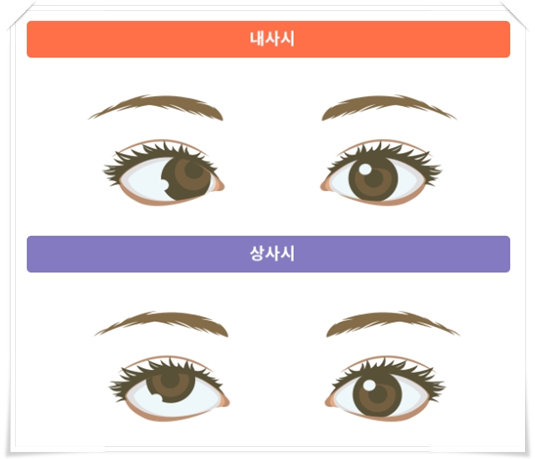 영아상사 이미지