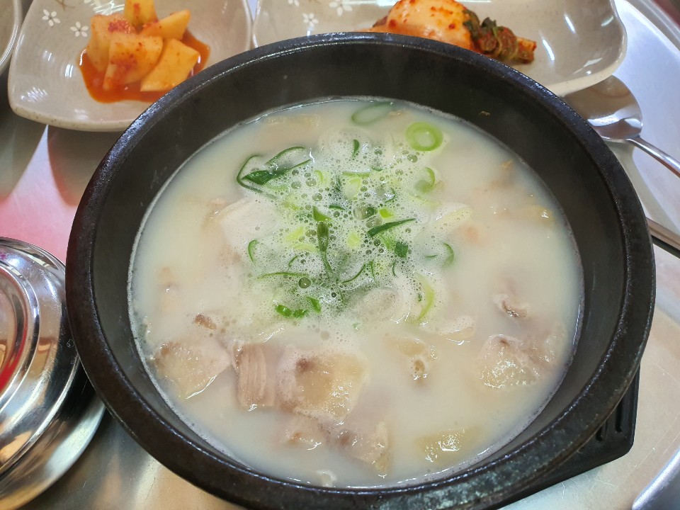 못난이돼지 이미지