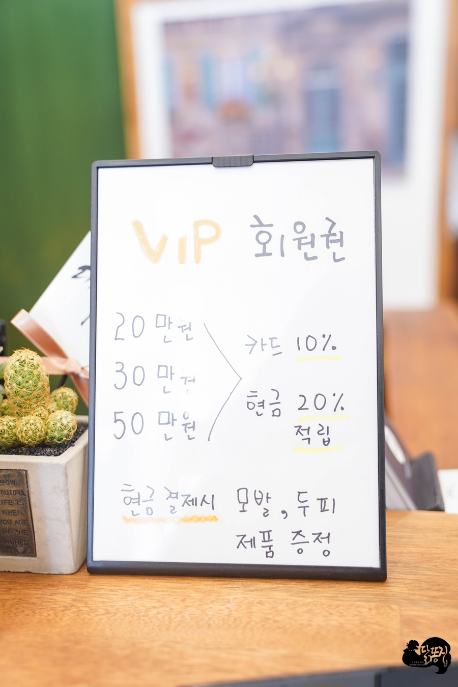 청춘미장원 이미지