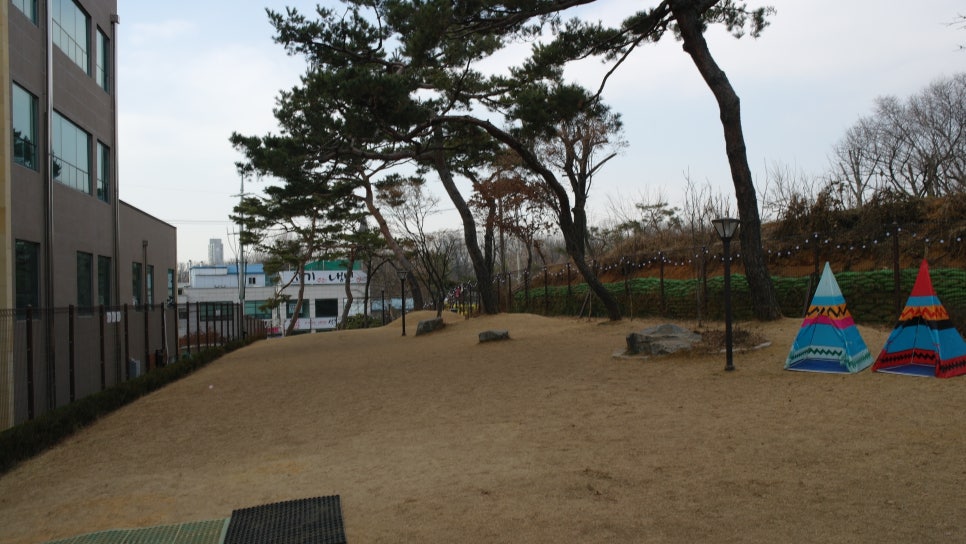 하남 펖파크 애견카페: 운동장·미용·쇼룸 원스톱 이용 — 사진 11