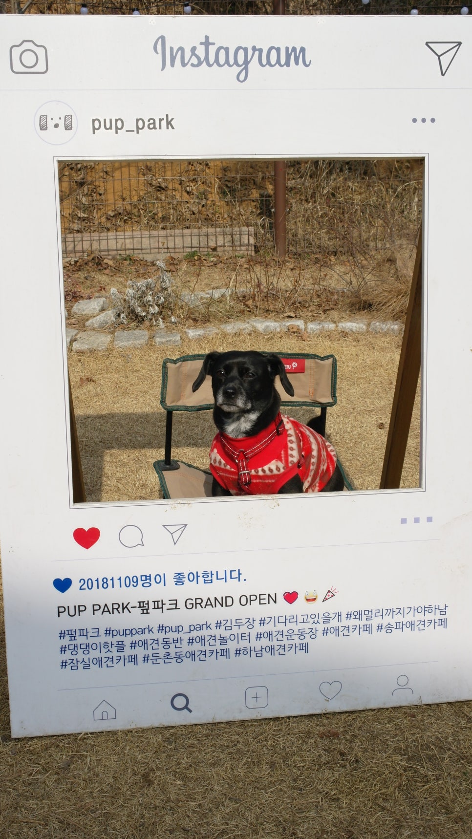 하남 펖파크 애견카페: 운동장·미용·쇼룸 원스톱 이용 — 사진 17