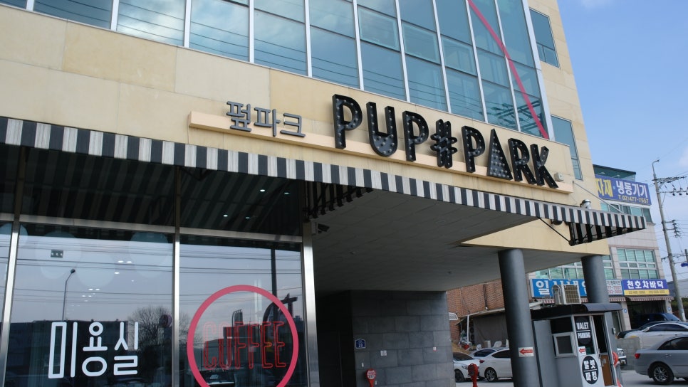 하남 펖파크 애견카페: 운동장·미용·쇼룸 원스톱 이용 — 사진 3