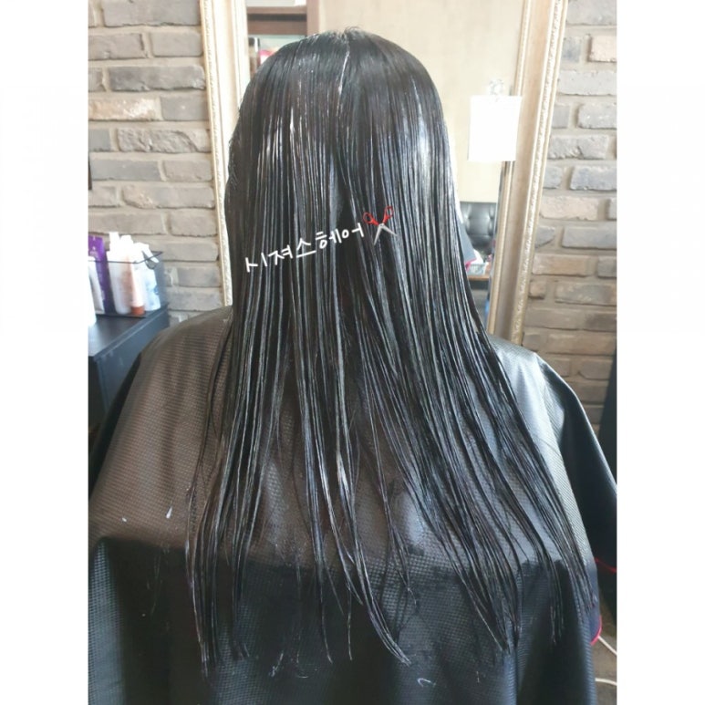 시져스헤어 이미지