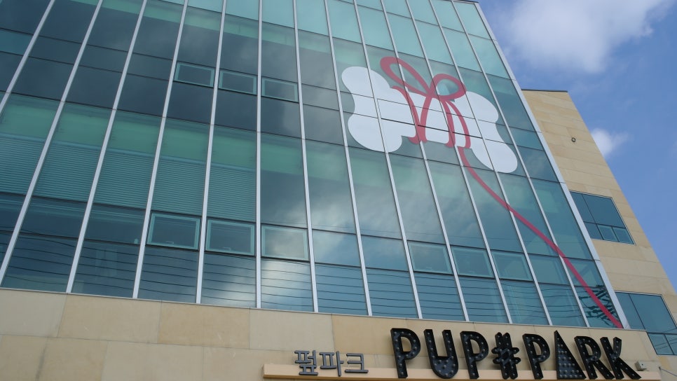 하남 펖파크 애견카페: 운동장·미용·쇼룸 원스톱 이용 — 사진 2