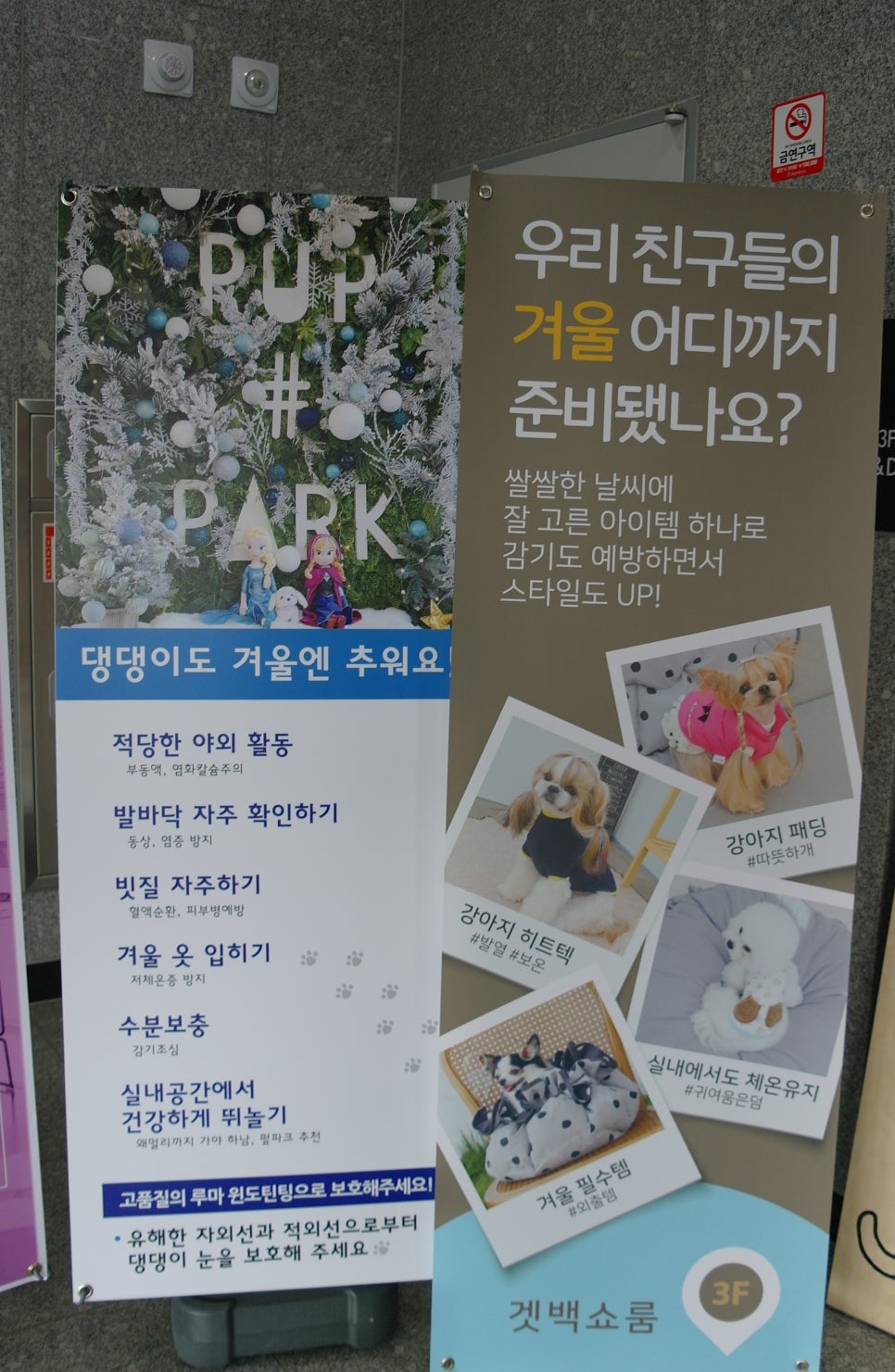 하남 펖파크 애견카페: 운동장·미용·쇼룸 원스톱 이용 — 사진 6
