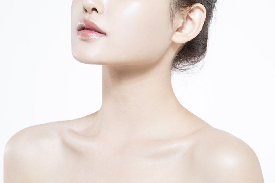제주미의원 이미지