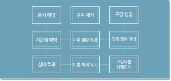 리덴 이미지