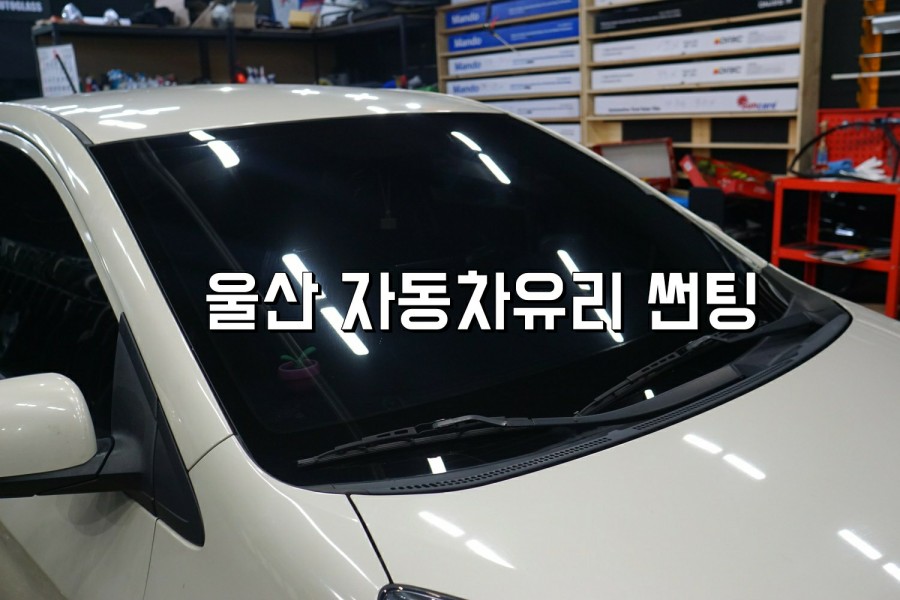 에스와이오토글래스 이미지