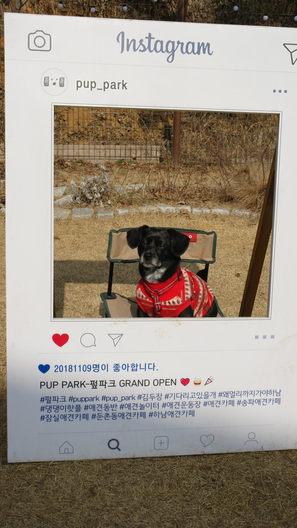 하남 펖파크 애견카페: 운동장·미용·쇼룸 원스톱 이용 — 사진 16
