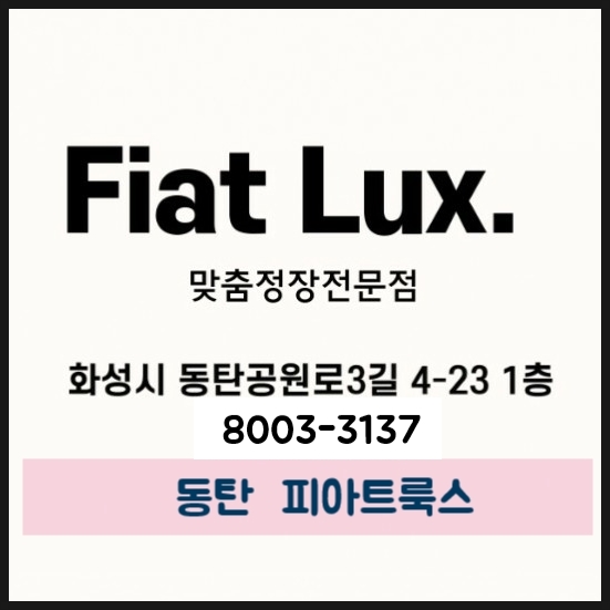 피아트룩스 이미지