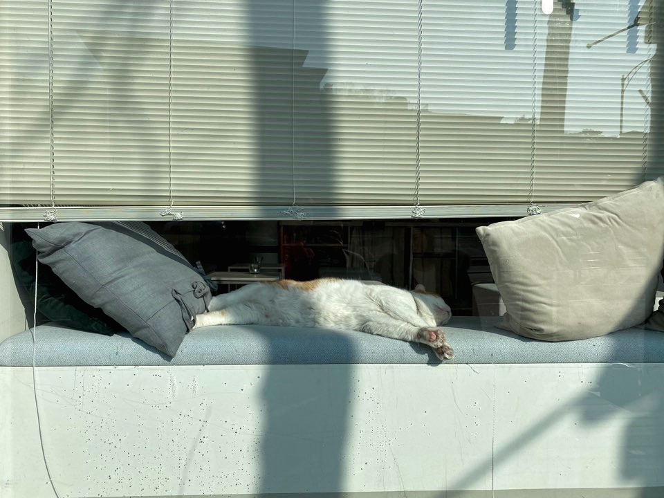 MUNE(무네) 이미지