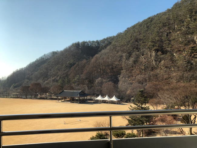와이즈비젼 이미지