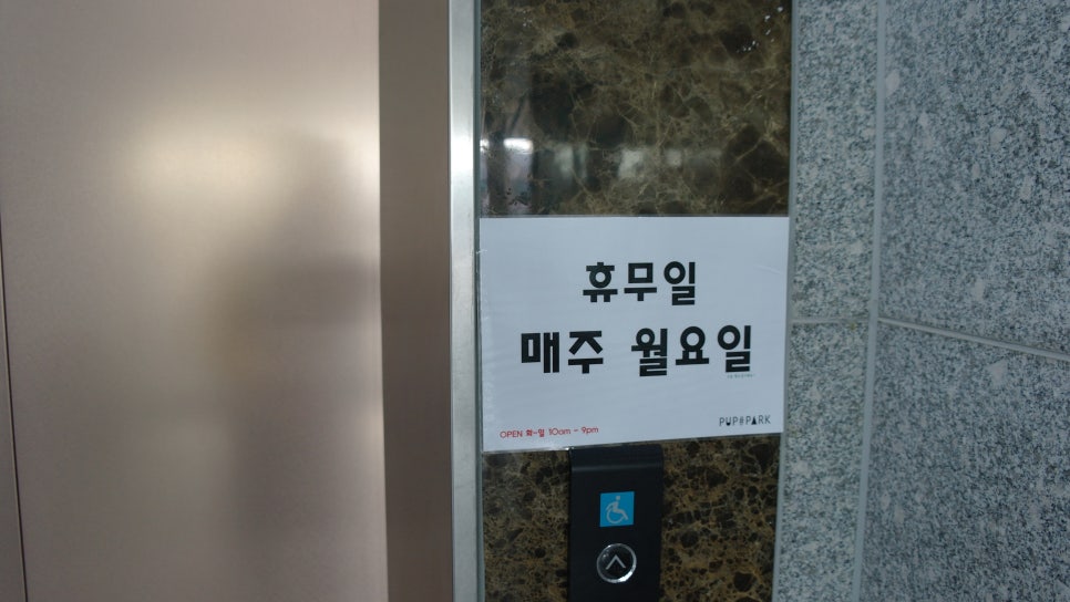 하남 펖파크 애견카페: 운동장·미용·쇼룸 원스톱 이용 — 사진 9